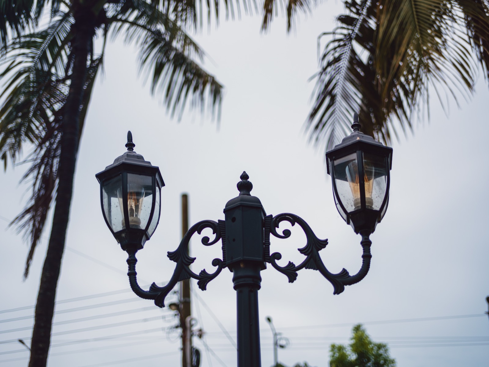 Two ornate cast-iron lamps on a single post with filament bulbs lit, framed by palm fronds against an overcast white sky, shot on a Fujifilm X-E5 with the Voigtlander 27mm f/2.