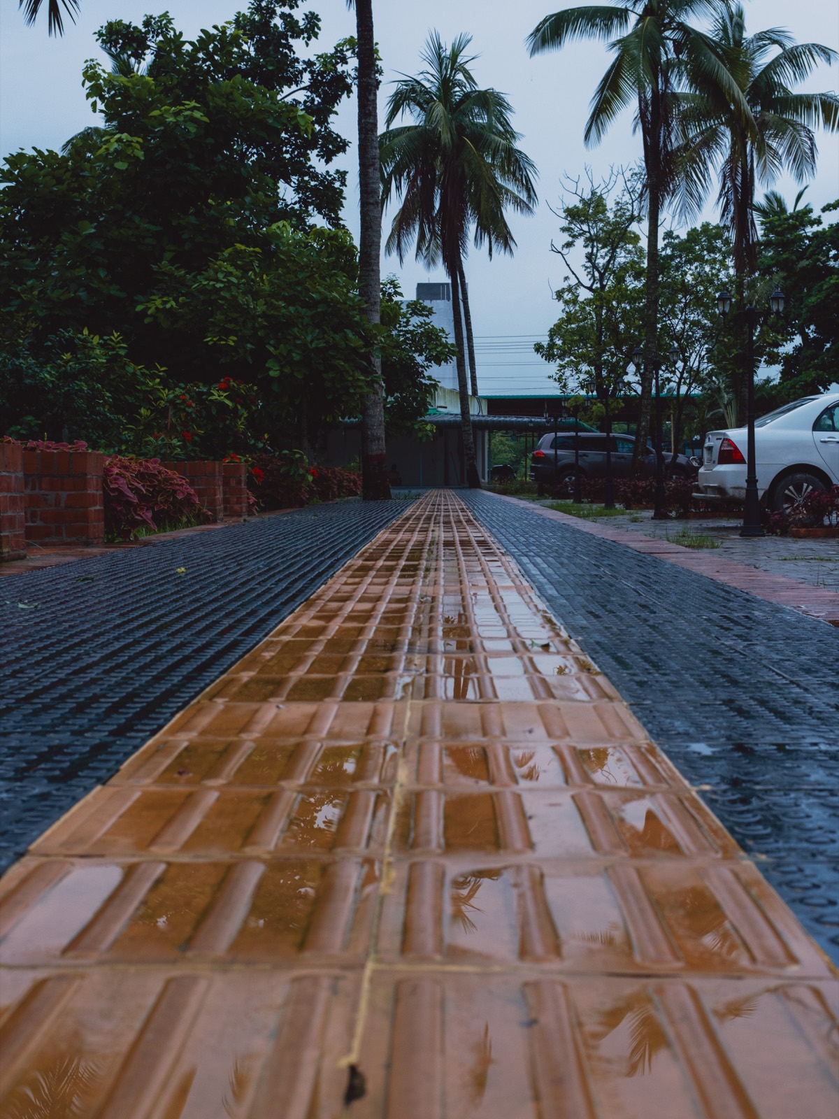 A wet tiled pathway with an orange centre strip running into the distance between palm trees at dusk, shot low to the ground on a Fujifilm X-E5 with the Voigtlander 27mm.